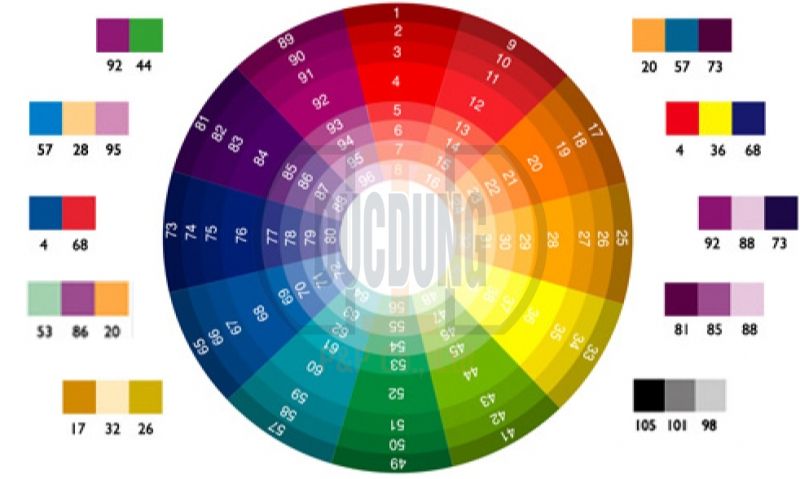 6 phương pháp phối màu phổ biến nhất trong thiết kế mà bạn cần biết